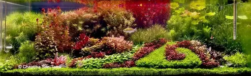 Photo-01-The Garden-Full Tank-Front-01.webp