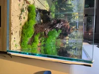 IMG_7914.webp