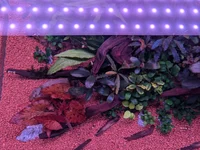 PXL_20251206_021520959.webp