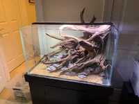 40g Scape 3 angle jpeg.webp