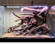 40g Scape 3.webp