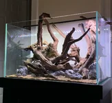 40g Scape 2.1 jpeg.webp