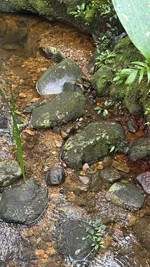 IMG_1867.webp