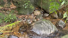 IMG_1861.webp