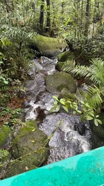 IMG_1859.webp