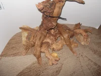 DSCN1296.webp