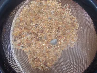 DSCN1075.webp