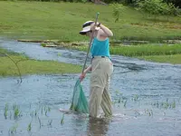 Karen Flooded Pasture with Big Caiman.webp