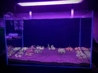 1. week 1 - 1.webp