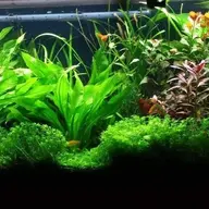 keepitaquatic