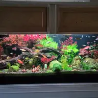 toofewfish
