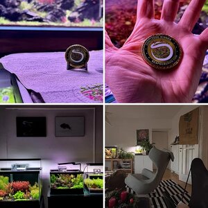 Media of the Month Contest - December 2025 - Grand Championship