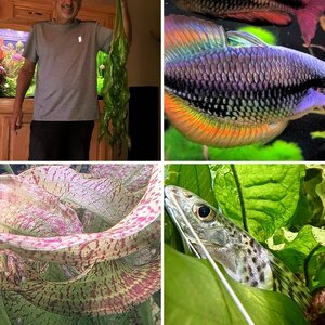 Media of the Month Contest - February 2026 - Best Closeup