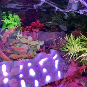 E064A579-72B1-49E7-A303-A70DF44DEC59.jpeg