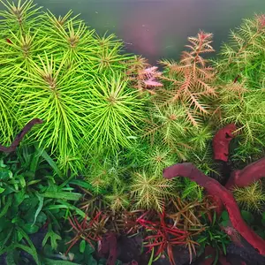 IMG_20230813_210810.jpg