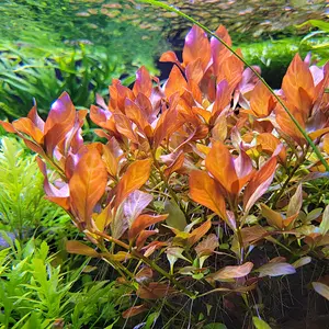 20230914_212851.jpg