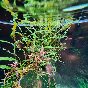 20230917_155019.jpg
