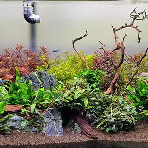20221103.jpg