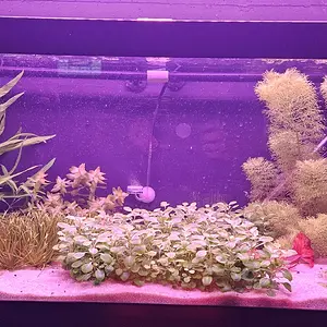 20240915_183731.jpg