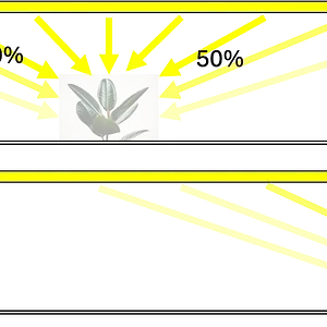 1734565819175.png