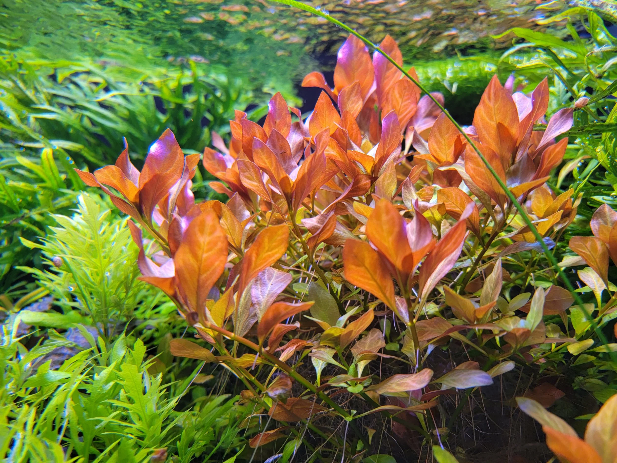 20230914_212851.jpg