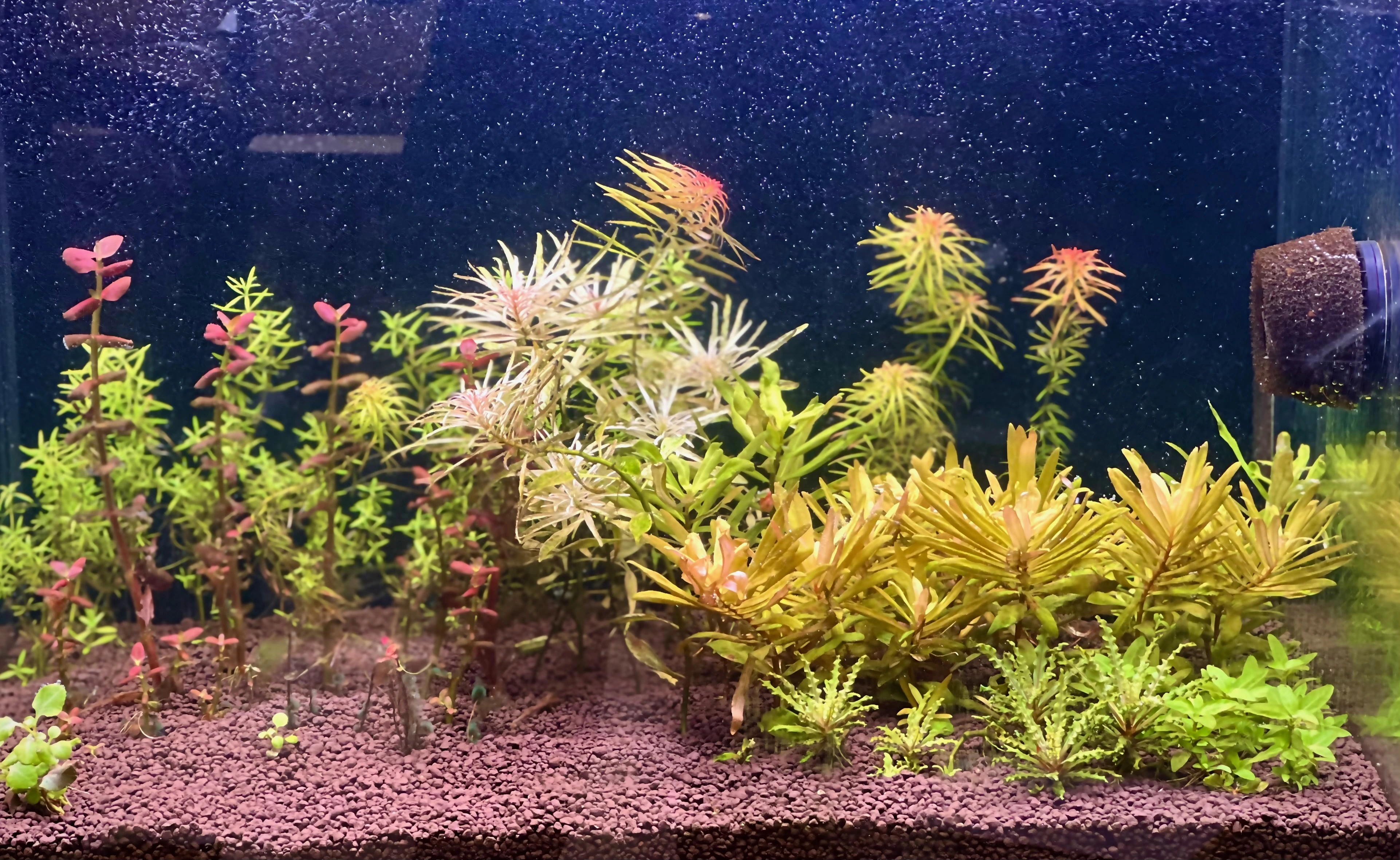 Arts ugly photo.webp