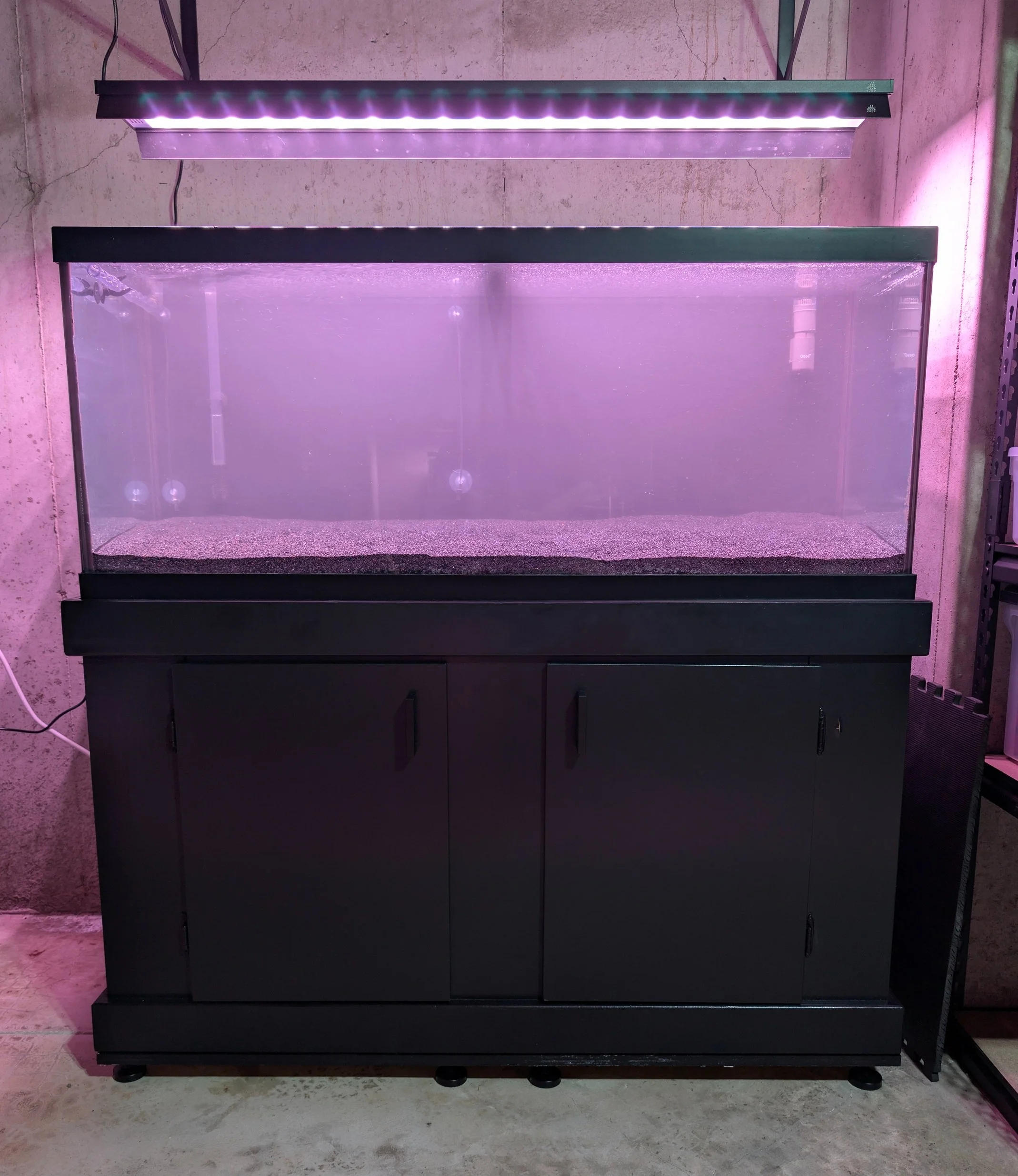Garden Tank Cycle Start 7_12_26.webp