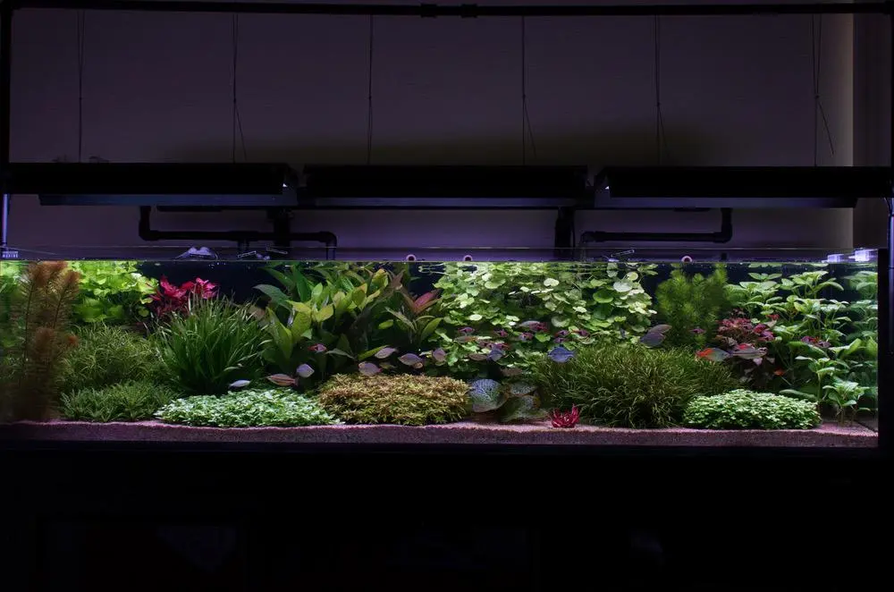 Original no crop or edit.jpg